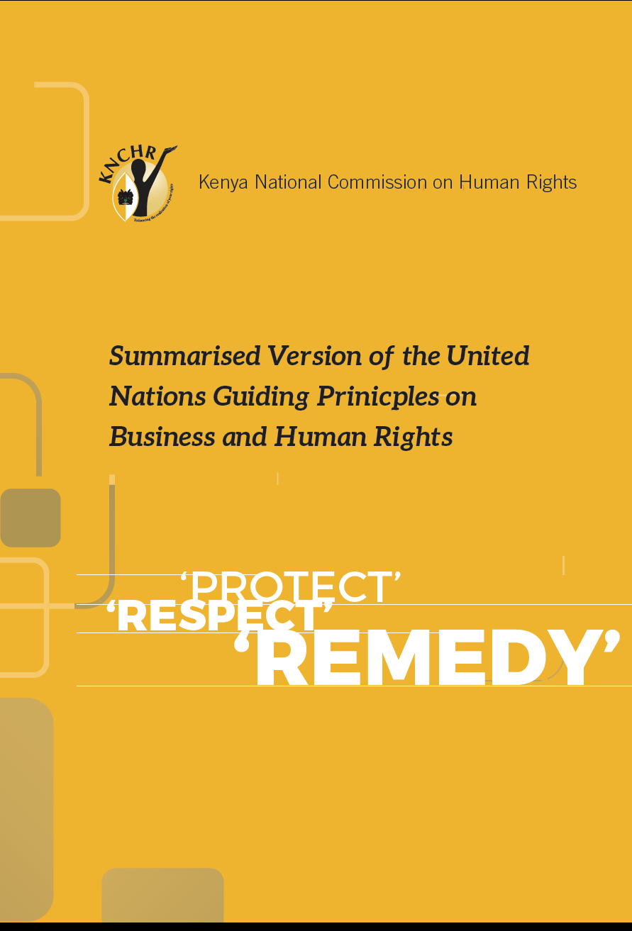 Summarised Version of the United Nations Guiding Prinicples on Business and Human Rights